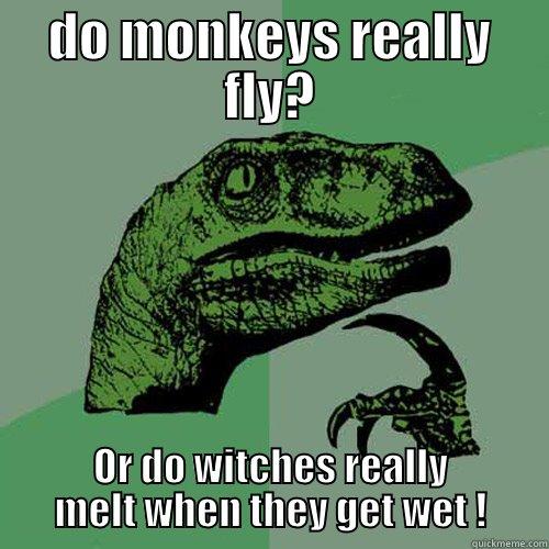 DO MONKEYS REALLY FLY? OR DO WITCHES REALLY MELT WHEN THEY GET WET ! Philosoraptor
