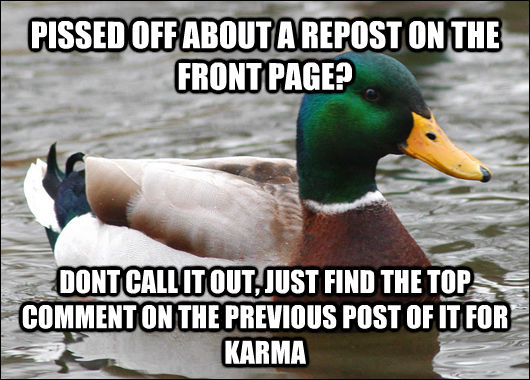 PISSED OFF ABOUT A REPOST ON THE FRONT PAGE? DONT CALL IT OUT, JUST FIND THE TOP COMMENT ON THE PREVIOUS POST OF IT FOR KARMA  Actual Advice Mallard