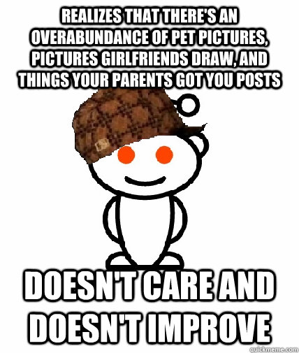 Realizes that there's an overabundance of pet pictures, pictures girlfriends draw, and things your parents got you posts Doesn't care and doesn't improve  Scumbag Reddit
