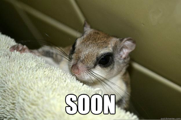  SOON  Soon