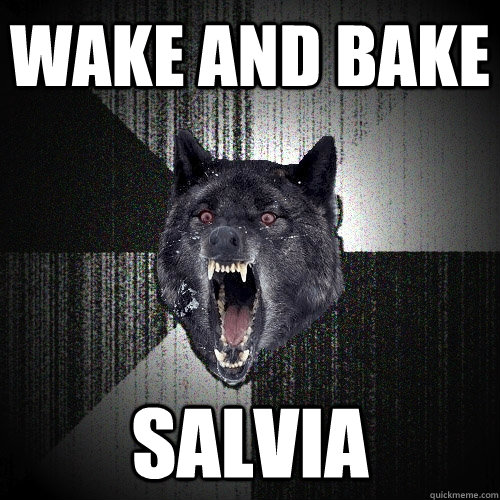 Wake and bake salvia - Wake and bake salvia  Insanity Wolf