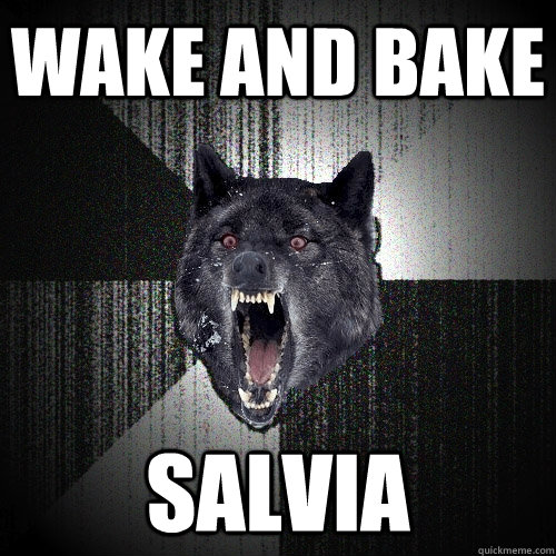 Wake and bake salvia  Insanity Wolf