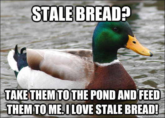 Stale Bread? Take them to the pond and feed them to me. I love stale bread! - Stale Bread? Take them to the pond and feed them to me. I love stale bread!  Actual Advice Mallard