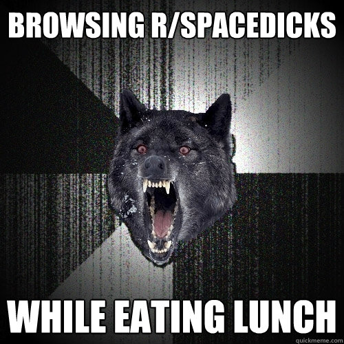 browsing r/spacedicks while eating lunch  Insanity Wolf