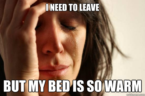 I need to leave but my bed is so warm  First World Problems