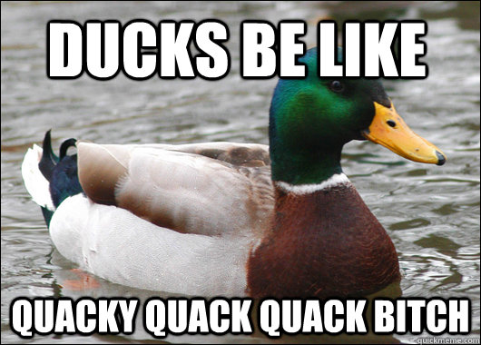 DUCKS BE LIKE QUACKY QUACK QUACK BITCH  Actual Advice Mallard
