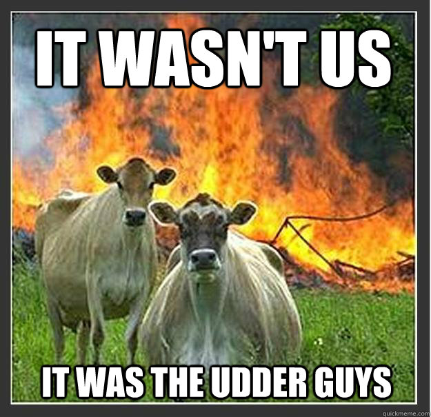 it wasn't us it was the udder guys  Evil cows