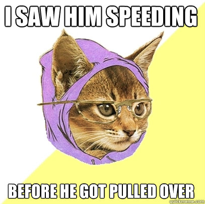 i saw him speeding before he got pulled over  Hipster Kitty