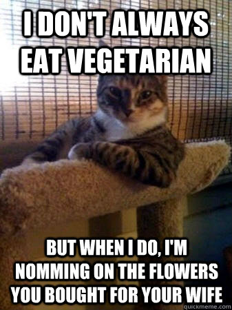 I don't always eat vegetarian but when I do, I'm nomming on the flowers you bought for your wife - I don't always eat vegetarian but when I do, I'm nomming on the flowers you bought for your wife  The Most Interesting Cat in the World