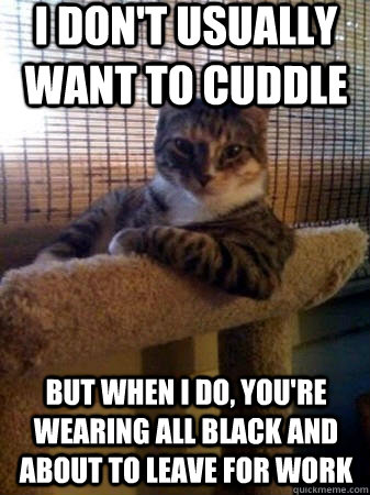 I don't usually want to cuddle but when I do, you're wearing all black and about to leave for work  The Most Interesting Cat in the World