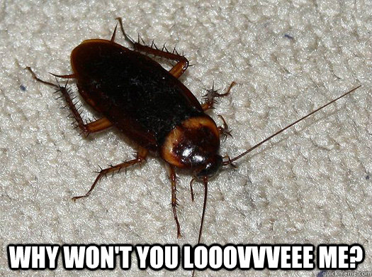  Why won't you looovvveee me?  Scumbag Cockroach