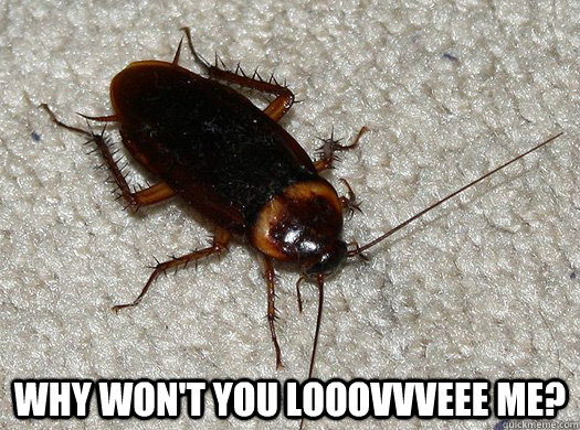  Why won't you looovvveee me? -  Why won't you looovvveee me?  Scumbag Cockroach