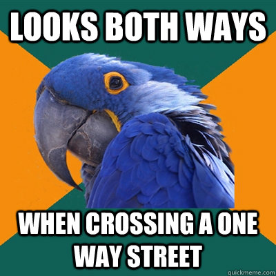 Looks both ways  when crossing a one way street  Paranoid Parrot