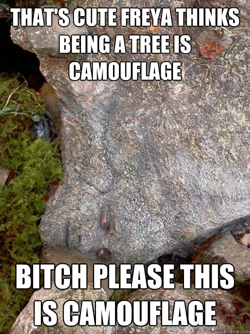 That's Cute Freya thinks being a tree is camouflage  Bitch Please this is camouflage - That's Cute Freya thinks being a tree is camouflage  Bitch Please this is camouflage  Peeta Rock
