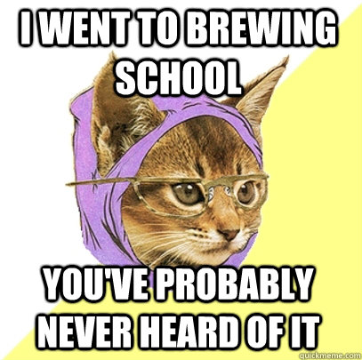 i went to brewing school you've probably never heard of it  Hipster Kitty