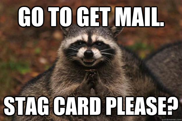 Go to get mail. Stag card please?  Evil Plotting Raccoon