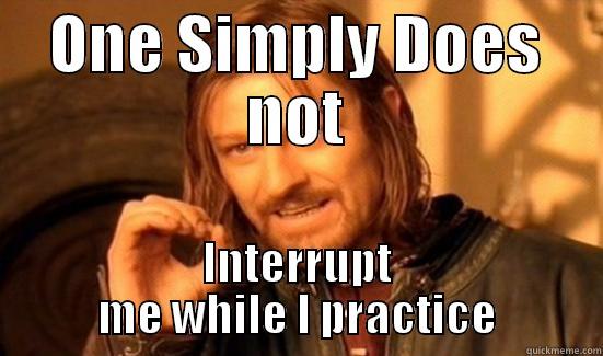 ONE SIMPLY DOES NOT INTERRUPT ME WHILE I PRACTICE Boromir