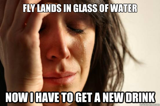 Fly lands in glass of water Now i have to get a new drink  First World Problems
