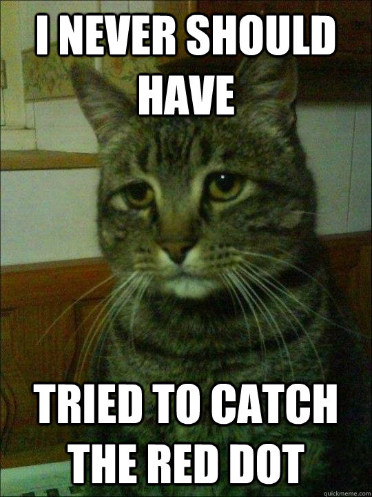 I never should have tried to catch the red dot - I never should have tried to catch the red dot  Misc