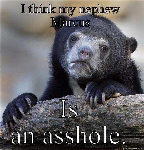 I THINK MY NEPHEW MARCUS IS AN ASSHOLE. Confession Bear