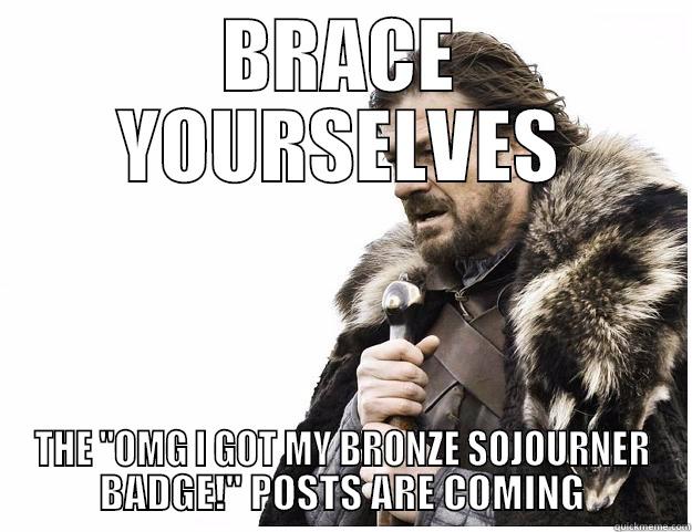 Sojourner Badge - BRACE YOURSELVES THE 