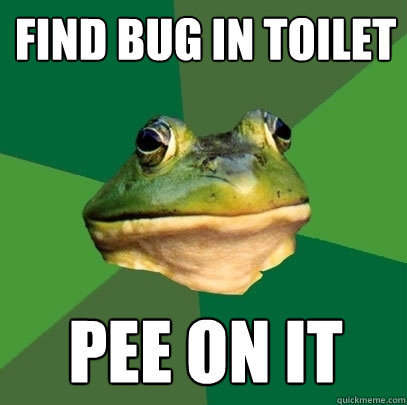 Find bug in toilet pee on it  Foul Bachelor Frog