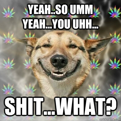 yeah..so umm yeah...you uhh... shit...what?  Stoner Dog