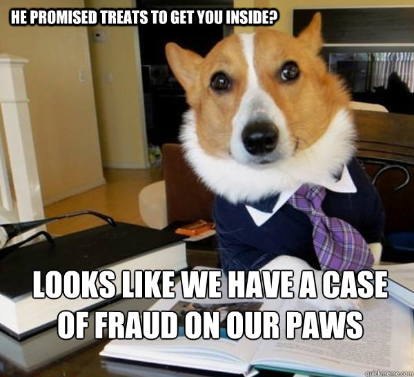 he promised treats to get you inside? looks like we have a case of fraud on our paws  Lawyer Dog