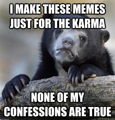 I make these memes just for the karma none of my confessions are true  Confession Bear