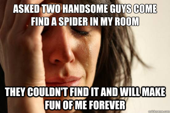 Asked two handsome guys come find a spider in my room They couldn't find it and will make fun of me forever  First World Problems