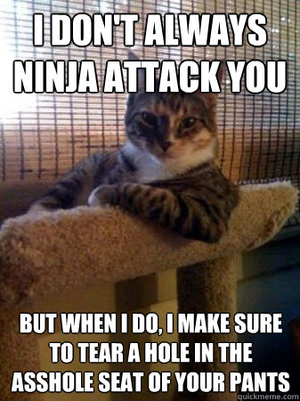 I don't always ninja attack you but when I do, I make sure to tear a hole in the asshole seat of your pants  The Most Interesting Cat in the World