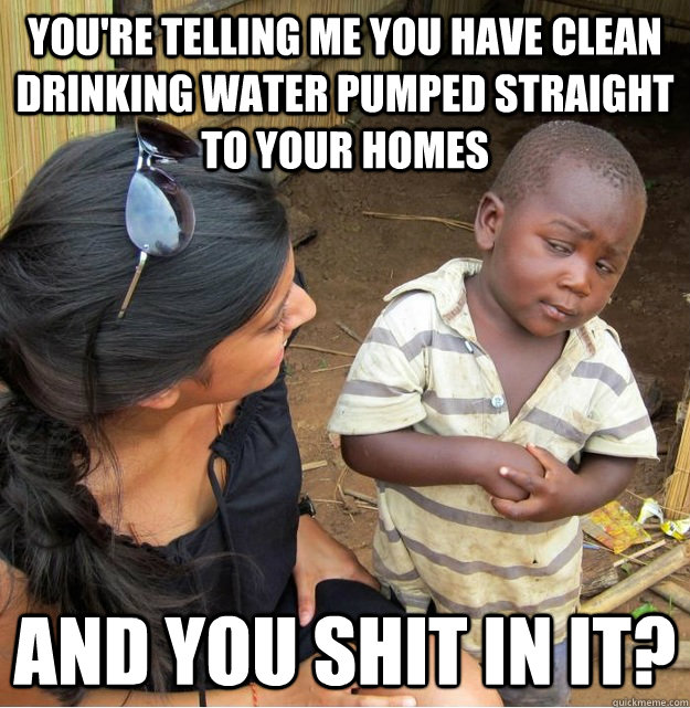 You're telling me you have clean drinking water pumped straight to your homes and you shit in it?  Skeptical Third World Kid