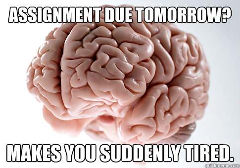 Assignment Due Tomorrow? Makes you suddenly tired.  Scumbag Brain