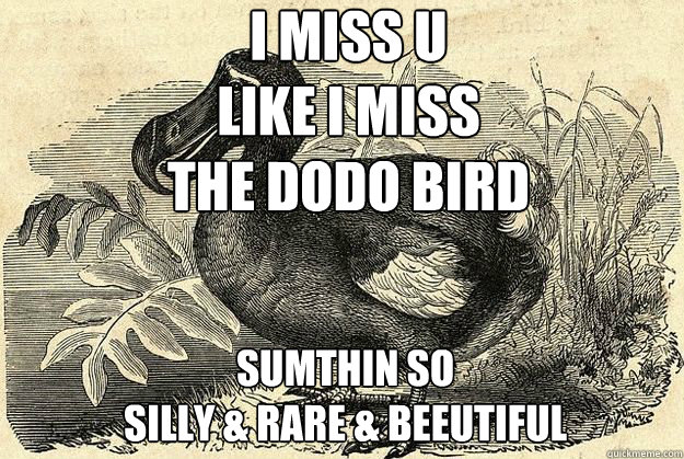 i miss u
like i miss 
the dodo bird sumthin so
silly & rare & beeutiful  