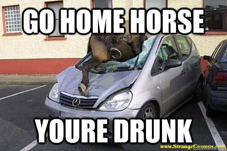 Go home horse Youre drunk - Go home horse Youre drunk  Misc