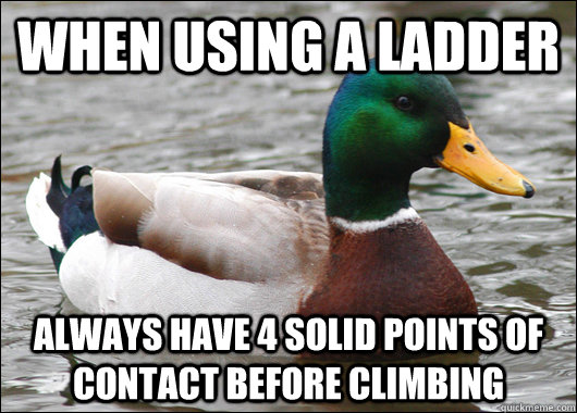 When using a ladder Always have 4 solid points of contact before climbing  Actual Advice Mallard