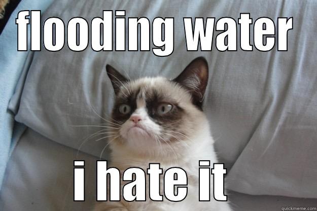 FLOODING WATER I HATE IT  Grumpy Cat