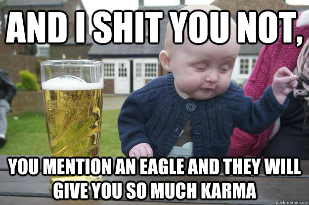AND I SHIT YOU NOT, you mention an eagle and they will give you so much karma   drunk baby