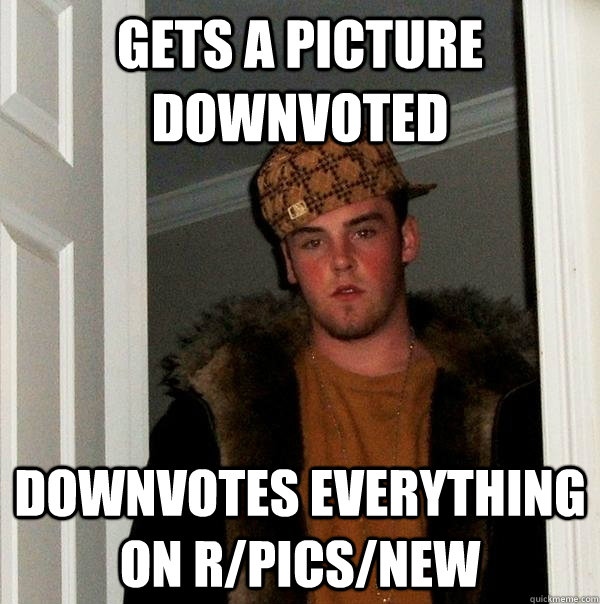 gets a picture downvoted downvotes everything on r/pics/new  Scumbag Steve
