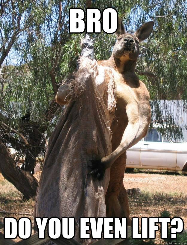 Bro Do you even lift? - Bro Do you even lift?  Roid Roo