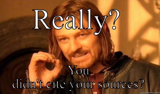REALLY? YOU DIDN'T CITE YOUR SOURCES? Boromir