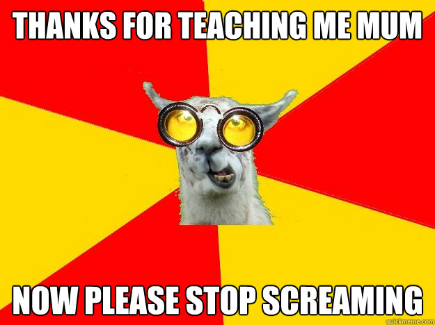 thanks for teaching me mum now please stop screaming  Learner Driver Llama