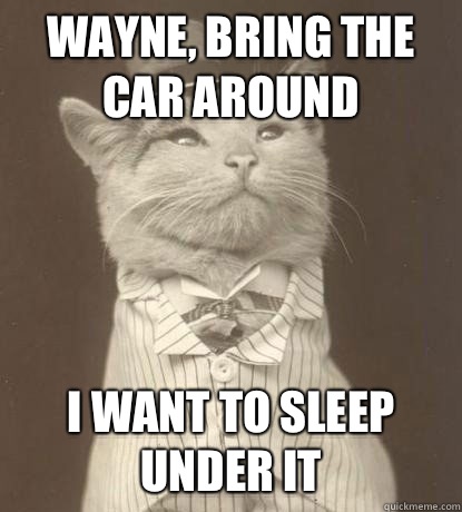 WAYNE, BRING THE CAR AROUND I WANT TO SLEEP UNDER IT - WAYNE, BRING THE CAR AROUND I WANT TO SLEEP UNDER IT  Aristocat