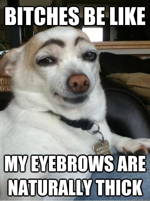 Bitches be like my eyebrows are naturally thick  Eyebrows