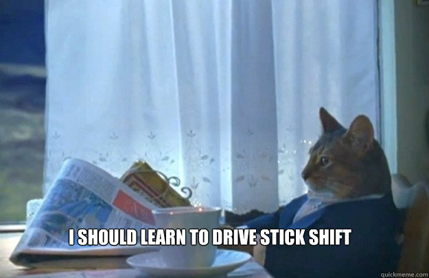 I should learn to drive stick shift - I should learn to drive stick shift  Sophisticated Cat