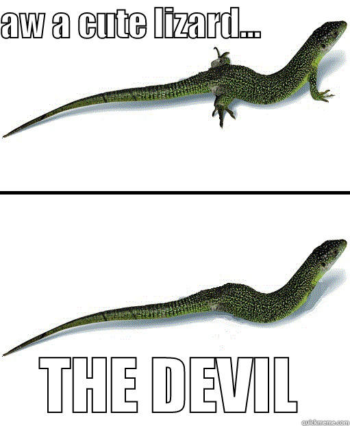 Lizard vs Snake - AW A CUTE LIZARD...              THE DEVIL Misc
