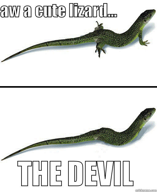 AW A CUTE LIZARD...              THE DEVIL Misc