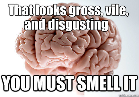 That looks gross, vile, YOU MUST SMELL IT  and disgusting  Scumbag Brain