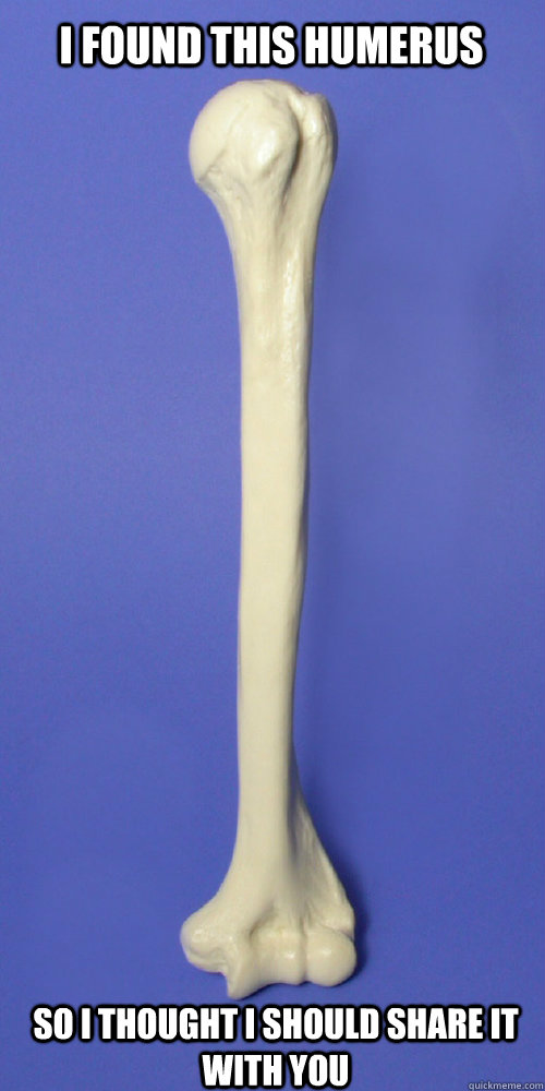 I FOUND THIS HUMERUS SO I THOUGHT I SHOULD SHARE IT WITH YOU  Found this humerus