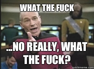 What the fuck ...no really, what the fuck?  Annoyed picard about shitty watercolor and karmanaut